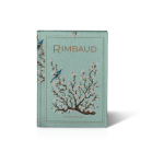 Le livre n°2 : Arthur Rimbaud